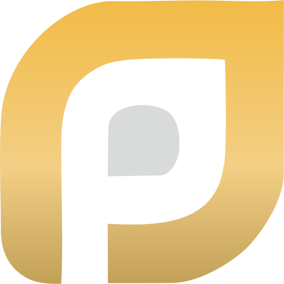 Pavitra Sarees